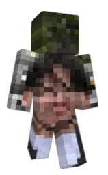 Classic Minecraft skin