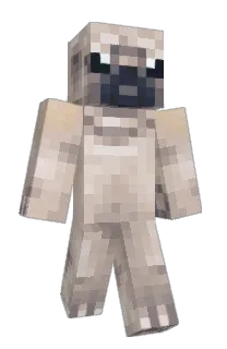 Front of DarthPluto's skin
