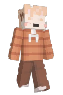 cae_mp4 Minecraft avatar full body