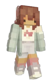 Skin preview