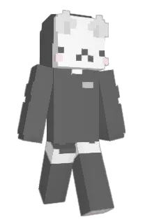 Front of Aeom's skin