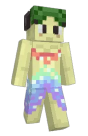 Skin preview