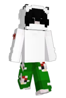 cai_ft Minecraft avatar full body