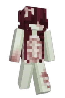 cakeycat Minecraft avatar full body