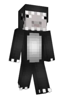 cally2004 Minecraft avatar full body
