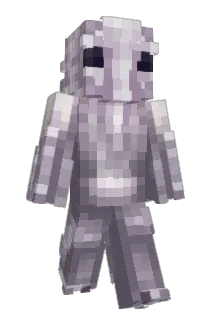 calmfit Minecraft avatar full body