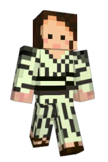 calrinon Minecraft avatar full body