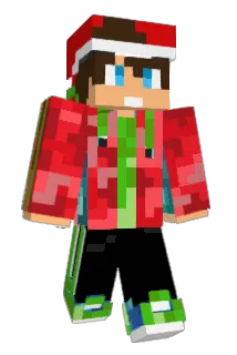 camD100 Minecraft avatar full body