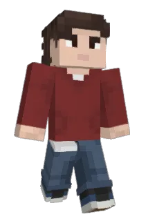camcamfr Minecraft avatar full body