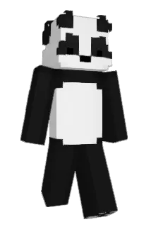 camcup_ Minecraft avatar full body