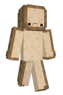 camdoesubersfast Minecraft avatar full body