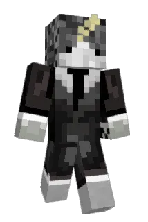 camfig Minecraft avatar full body