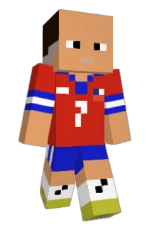 camiii312 Minecraft avatar full body