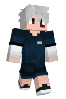 camisaGOSTOSO Minecraft avatar full body