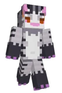 camman122255 Minecraft avatar full body