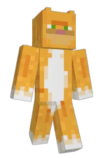 cammmm_____ Minecraft avatar full body