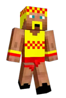 campwater85 Minecraft avatar full body
