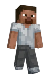camry2013 Minecraft avatar full body