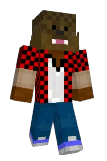 camtrnr Minecraft avatar full body