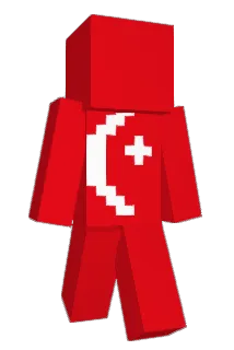 can638 Minecraft avatar full body