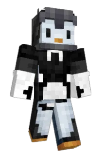capresunson Minecraft avatar full body