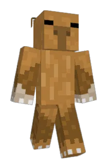 capybruh Minecraft avatar full body