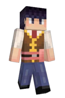 cardJ Minecraft avatar full body
