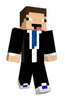 carfly300 Minecraft avatar full body