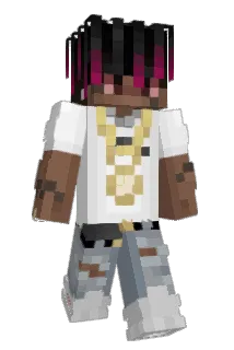 carfyd Minecraft avatar full body