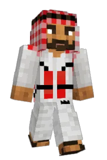 carlaoTUDO2 Minecraft avatar full body