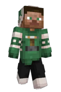 carlass Minecraft avatar full body