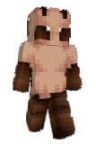 carm013 Minecraft avatar full body