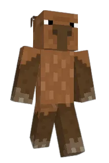 carpincho12 Minecraft avatar full body