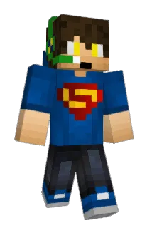 carri00 Minecraft avatar full body