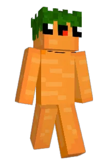 carrot33 Minecraft avatar full body