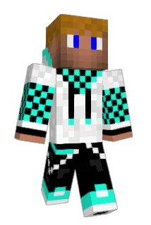 carwin99 Minecraft avatar full body