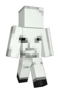 cas1nx Minecraft avatar full body
