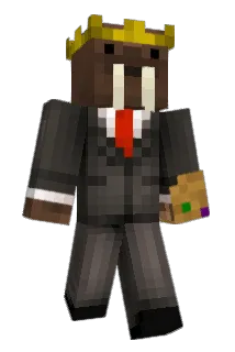 casarow9 Minecraft avatar full body