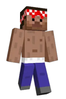 case4k Minecraft avatar full body
