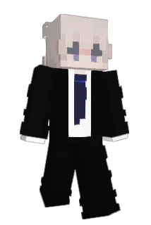 casebus Minecraft avatar full body
