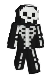 cashryu Minecraft avatar full body