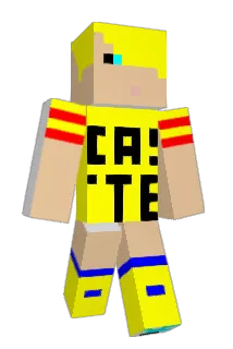 castel8 Minecraft avatar full body