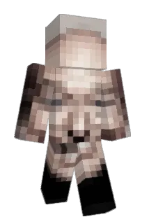 casterfix Minecraft avatar full body