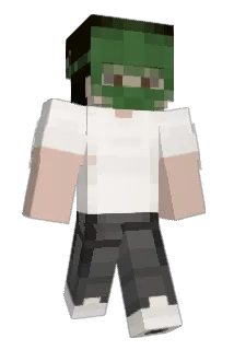 castpopcorn Minecraft avatar full body