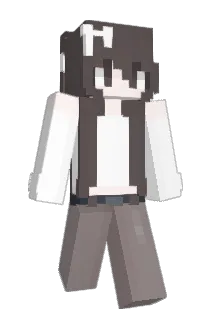 cat49 Minecraft avatar full body