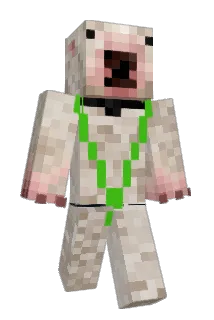 catbois Minecraft avatar full body