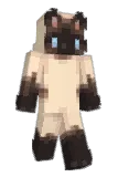 cathios Minecraft avatar full body