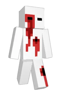 catisse Minecraft avatar full body