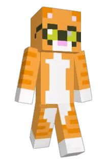 catman2000 Minecraft avatar full body
