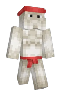 catmarioboss Minecraft avatar full body